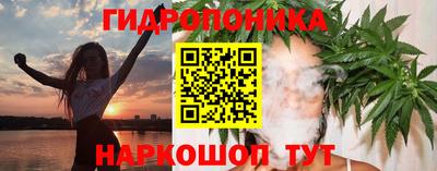 гидра Заволжье