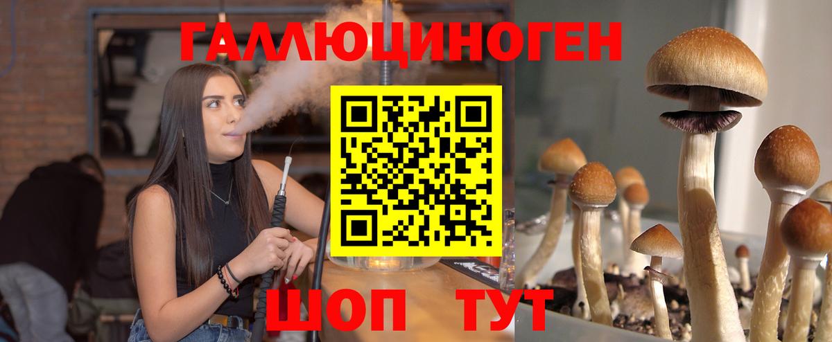 Галлюциногенные грибы ЛСД Вязьма